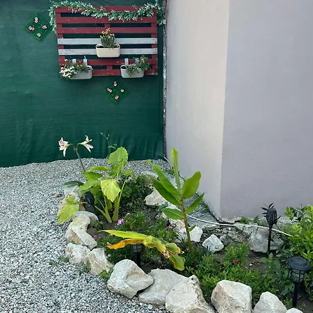 Sunny House