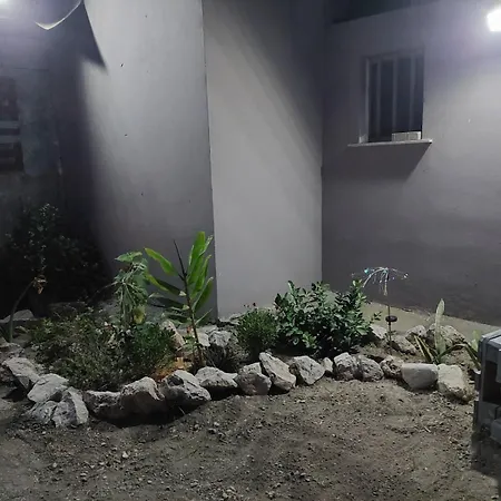 Sunny House