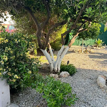 Sunny House Σπίτι διακοπών Κρεμαστή