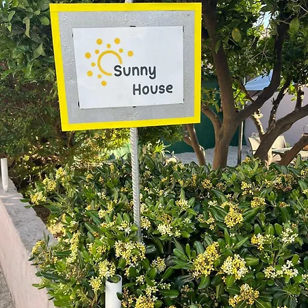 Sunny House * クレマスティ