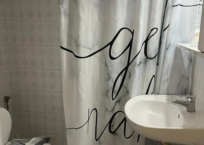 Sunny House * クレマスティ