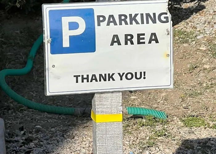 Sunny House クレマスティ