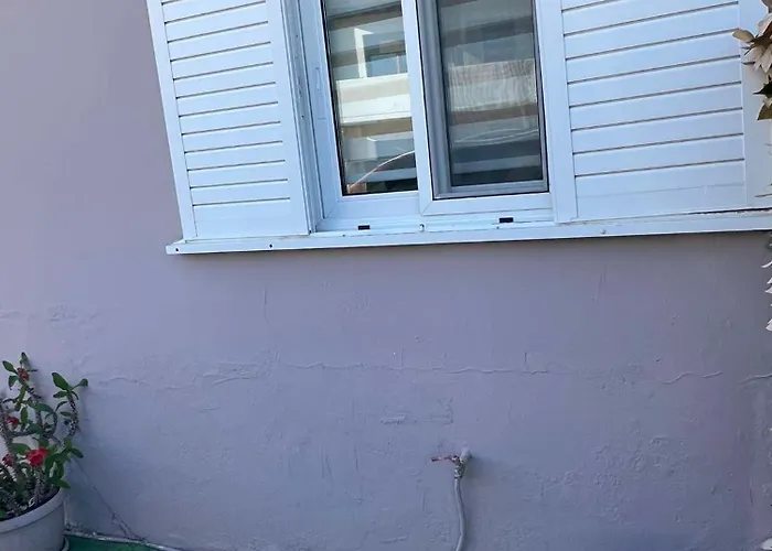 Sunny House クレマスティ