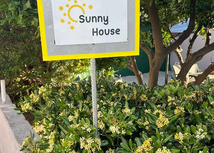 Sunny House * クレマスティ