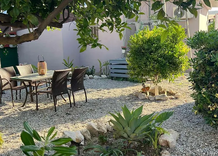 Sunny House * クレマスティ