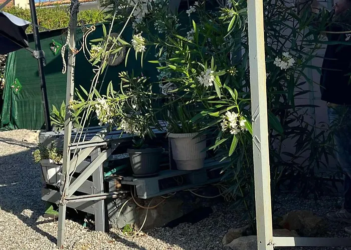 Сasa de vacaciones Sunny House *